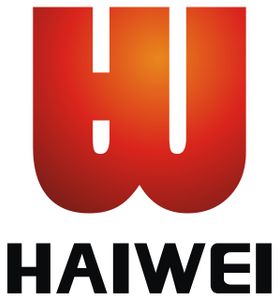 Company icon