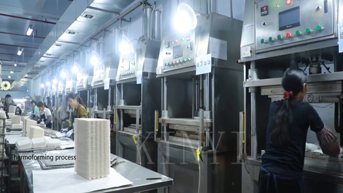 Dongguan Kinyi Packaging Technology Co., Ltd. biodegradable packaging