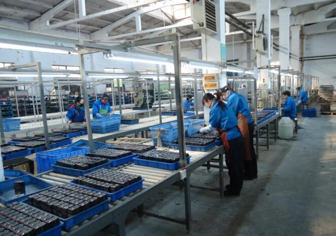 Shenzhen Wanhongxi Industry Co., Ltd. Gel Battery
