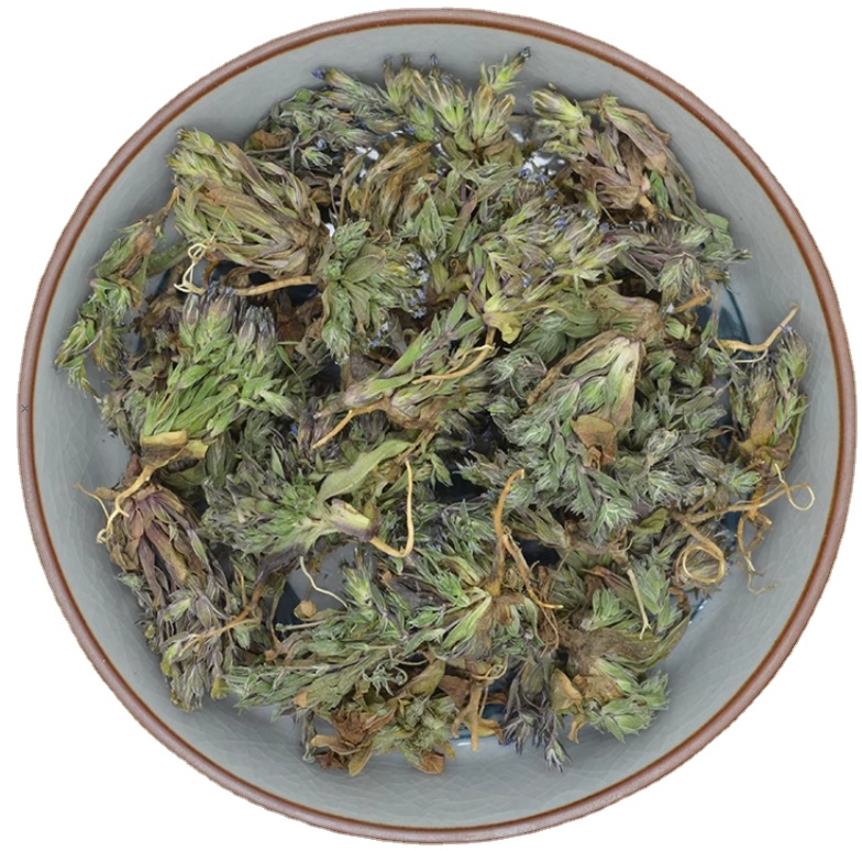 Long dan di ding whole plants dried medical herb Gentiana loureiri for sale