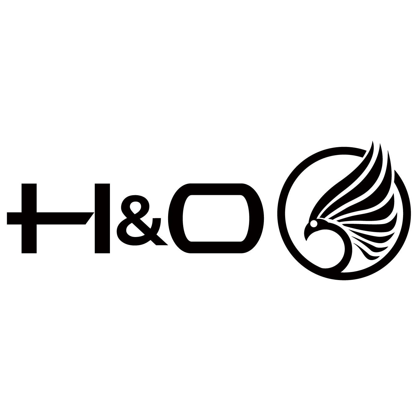 Zhejiang Haying Intelligent Technology Co., Ltd. logo