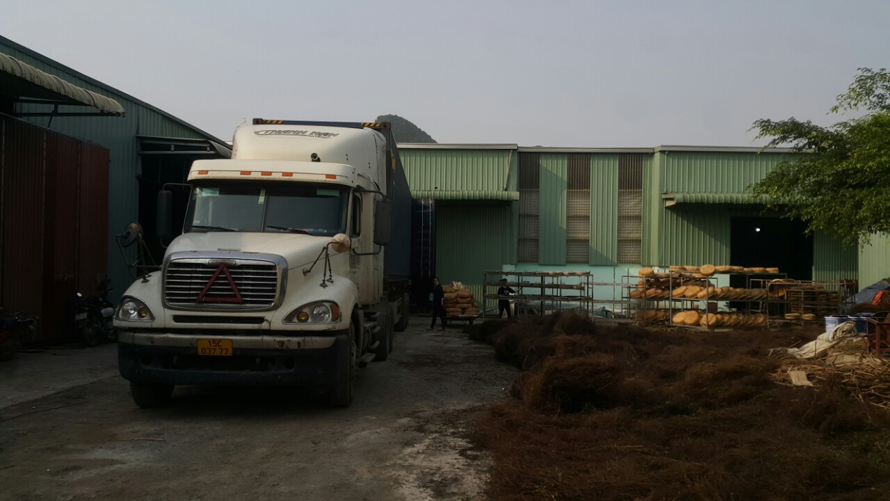 TMH Vietnam Company Limited Seagrass Weaving