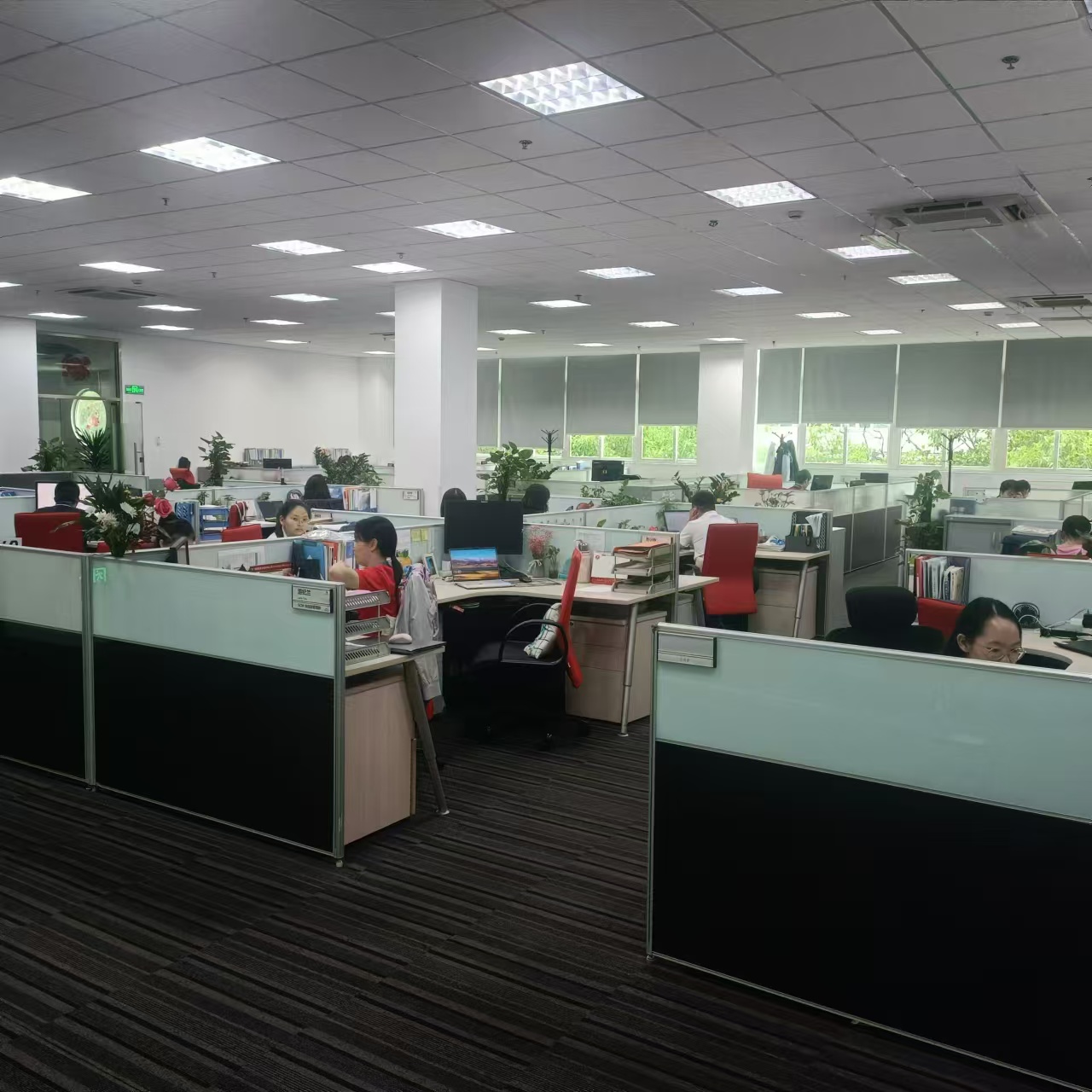 Fuzhou Rongchuang Leren E-Commerce Co., Ltd. audio processor