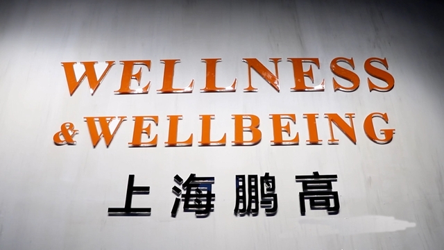 Shanghai Wellness Crafts Co., Ltd. Candle holders