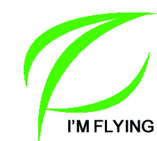 Dongguan I Am Flying Industry Co., Ltd. logo