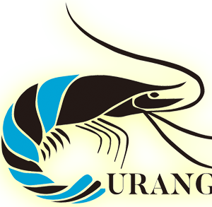Company icon