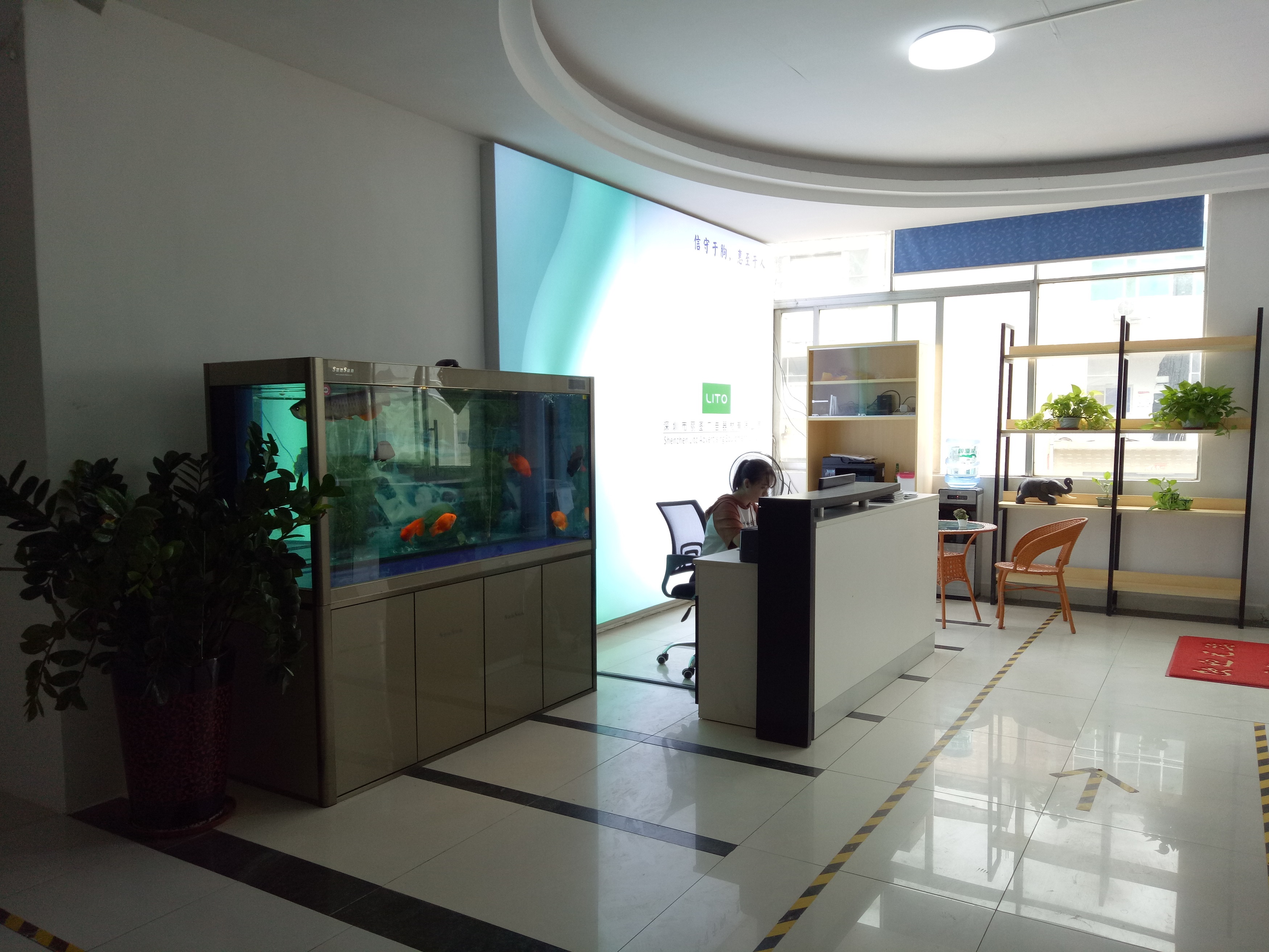 Shenzhen Lito Advertising Equipment Co., Ltd Self Adhesive Vinyl