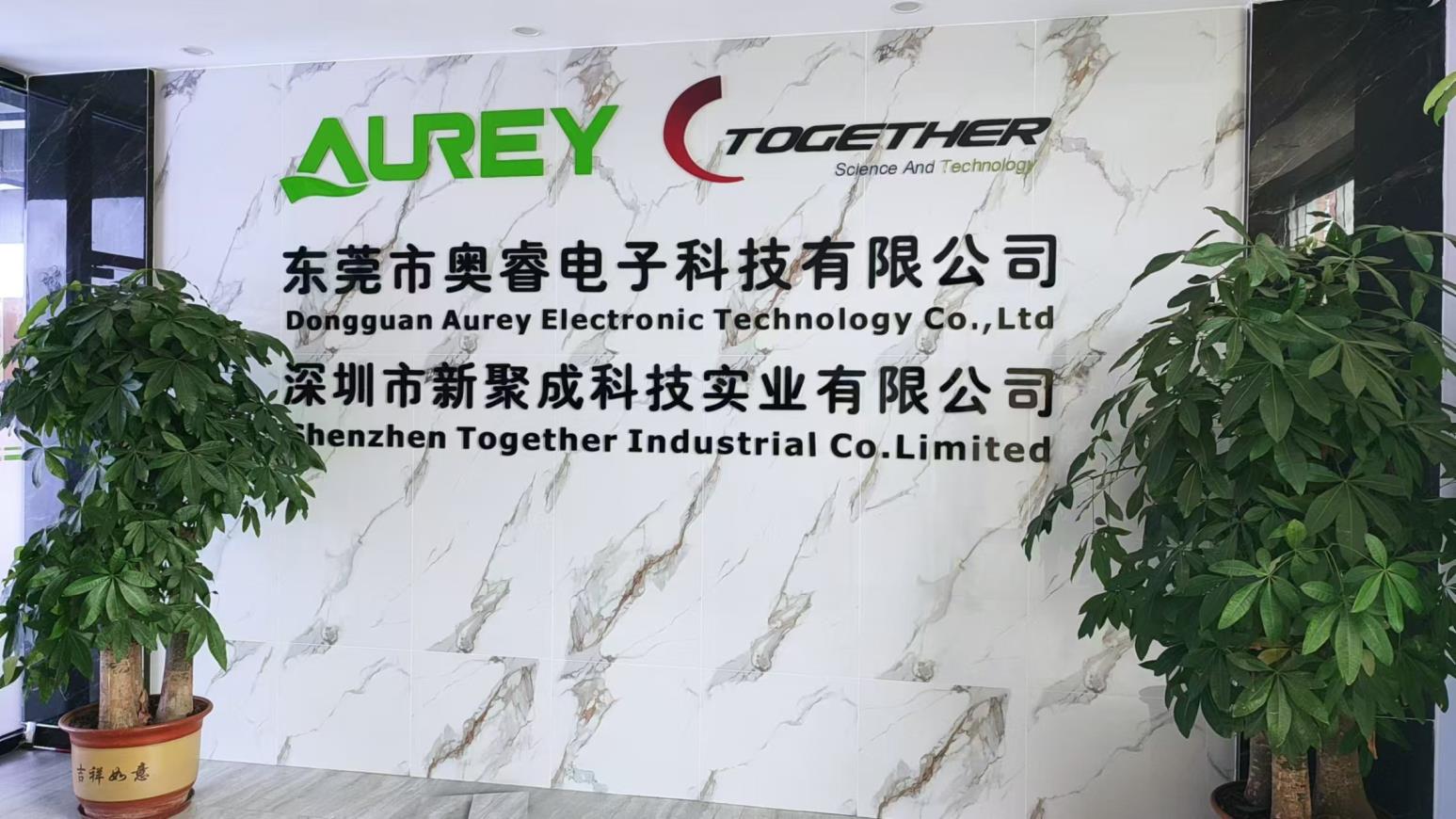 Dongguan Aurey Electronic Technology Co.,Ltd Ceramic Glass Protector