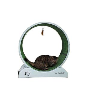 Smart Silent Plastic Cat Treadmill Sustainable Weight Loss and Training Tool for a Healthy Cat Lifestyle
