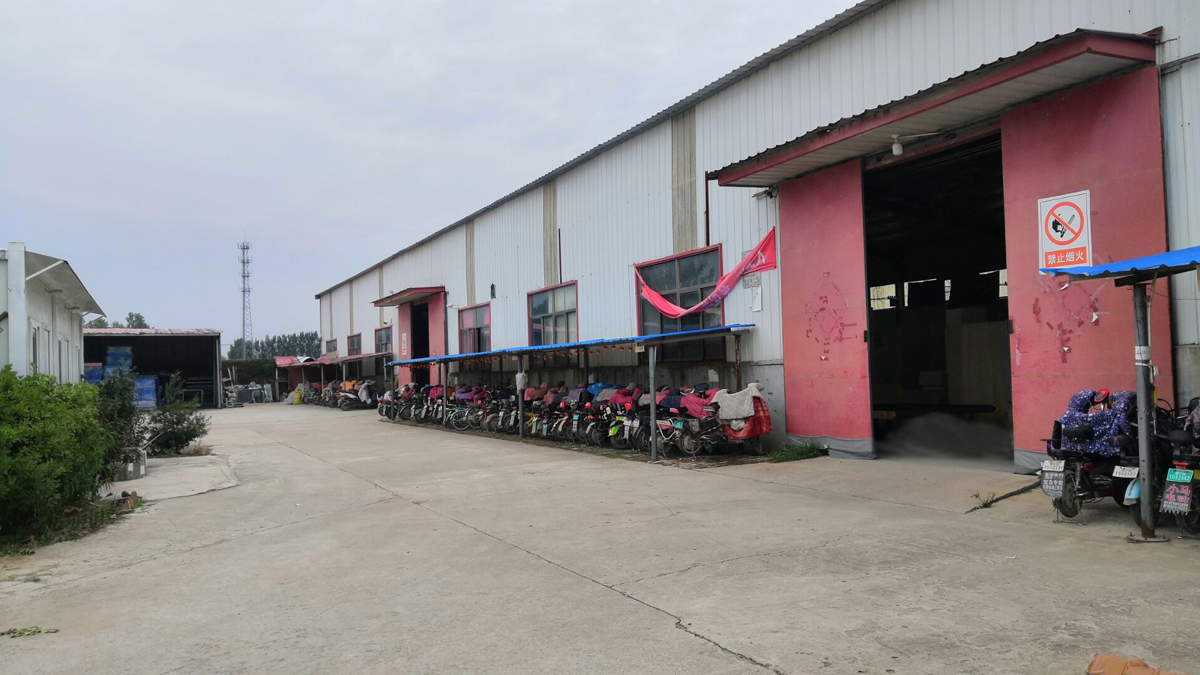 Shandong Zonwinxin Commerce Co., Ltd. factory image 2