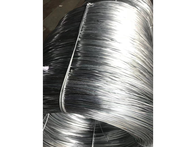 Anping Ruibei Metal Mesh Factory Extruder Screen Mesh