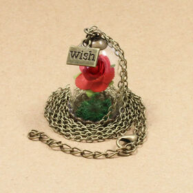 Beauty and Beast Rose Flower Glass Bottle Little Prince Red Rose Wish Pendant Necklace FN26