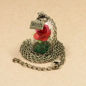 Beauty and Beast Rose Flower Glass Bottle Little Prince Red Rose Wish Pendant Necklace FN26