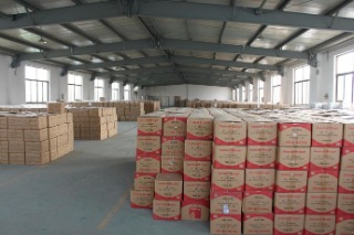 Ningbo Dasheng Daily Products Co., Ltd. Plastic Hanger