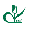 Company icon