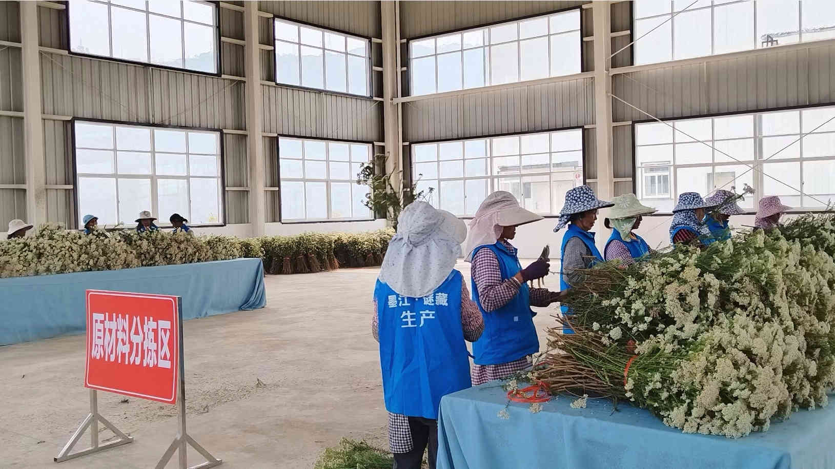 Mojiang Micang Technology Co., Ltd. Dried Flower