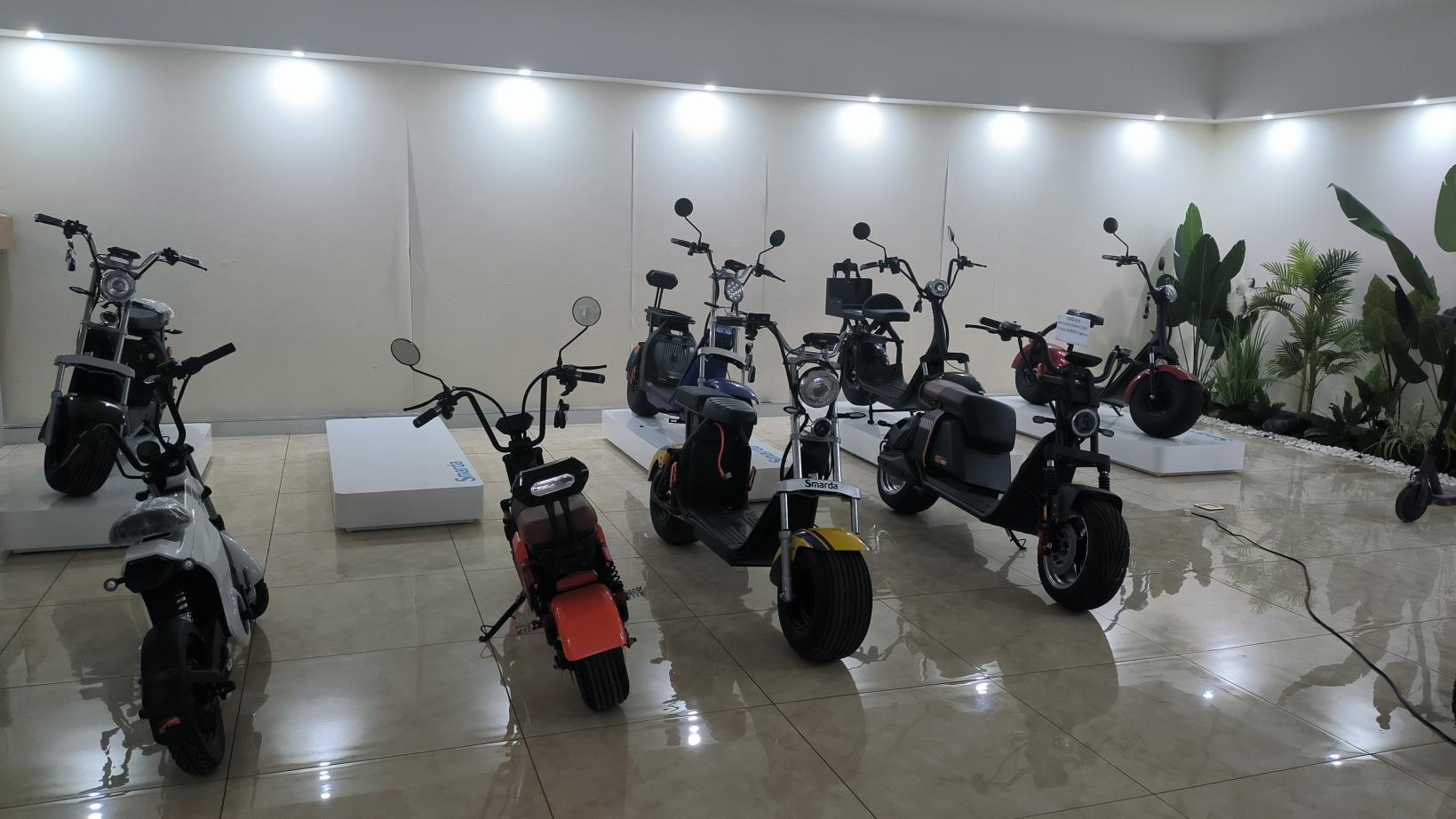 Yongkang Smart Industry & Trade Co., Ltd. Citycoco Scooter