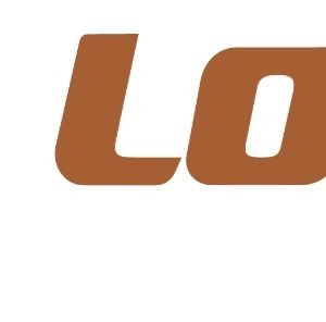 Company icon