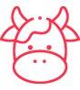 Beef