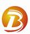 Company icon