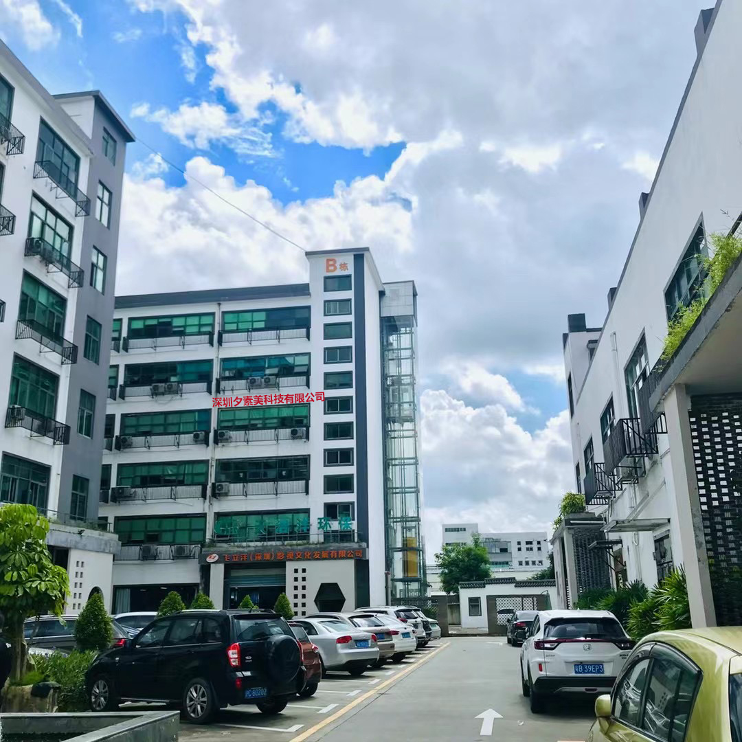 Shenzhen Sisobeauty Technology Co., Ltd. factory image 3