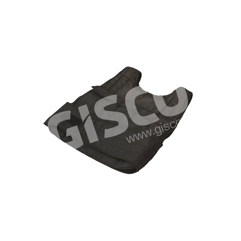Fitness Exercise Weighted Vest from India