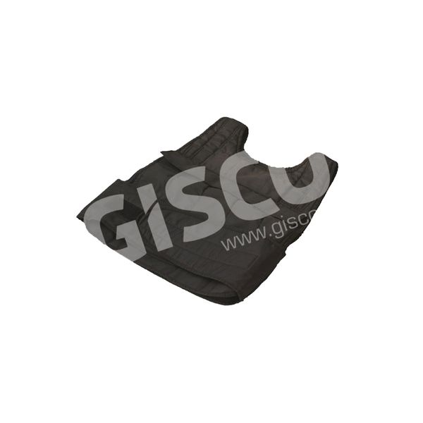 Fitness Exercise Weighted Vest from India