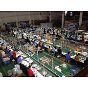 Guangdong Wisdomlife Electric Co., Ltd. Floor Fan
