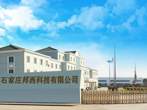 Hebei Bangxi Textile Trading Co., Ltd. Prayer Mats