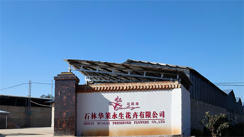 Shilin Hualai Preserved Flowers Ltd., Co. factory image 2