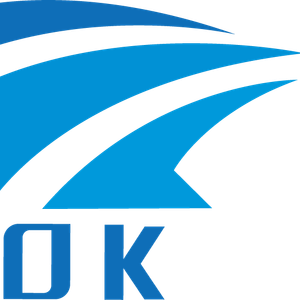 Company icon