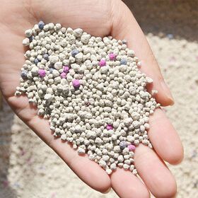100% natural bentonite cat litter eco-friendly cat sand