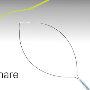 Polypectomy Snares – Oval