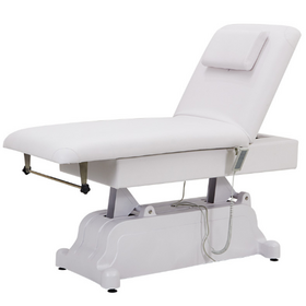 high quality SPA facial bed adjustable treatment Massage table electric lifting  2 motors beauty Bed