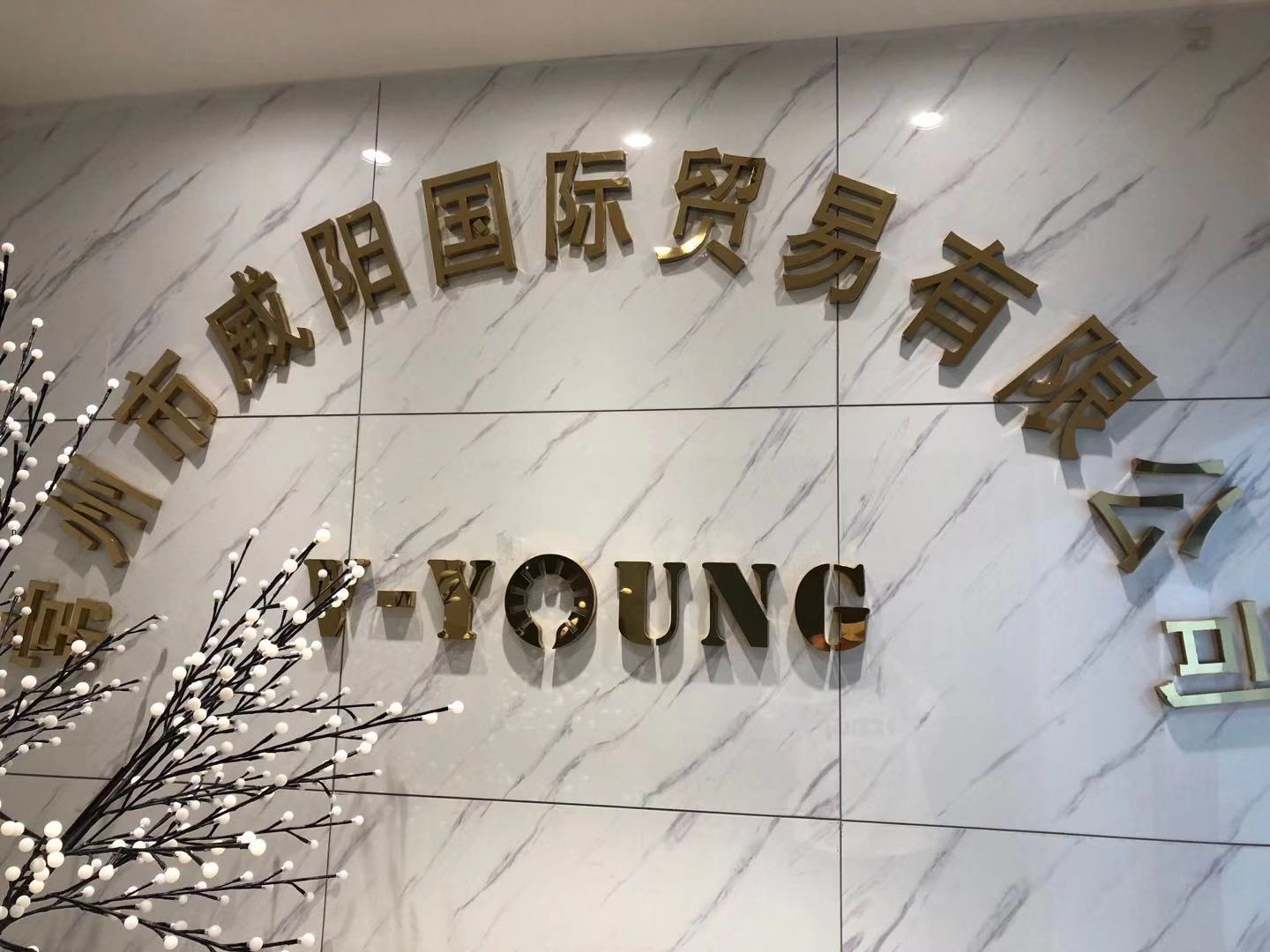 Changzhou V-Young International Trading Co., Ltd. Christmas Lights