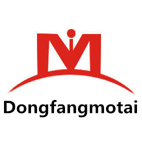Binzhou Dongfang Motai Trading Co., Ltd. logo