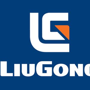 Company icon