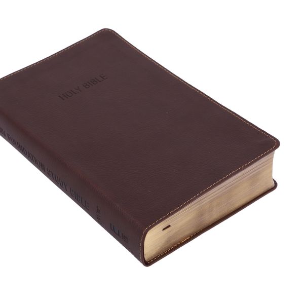 Novelties Wholesale China Customised Personalised Bible KJV NIV Bible Printing Book OEM Offset Printing Film Lamination 1000 Pcs