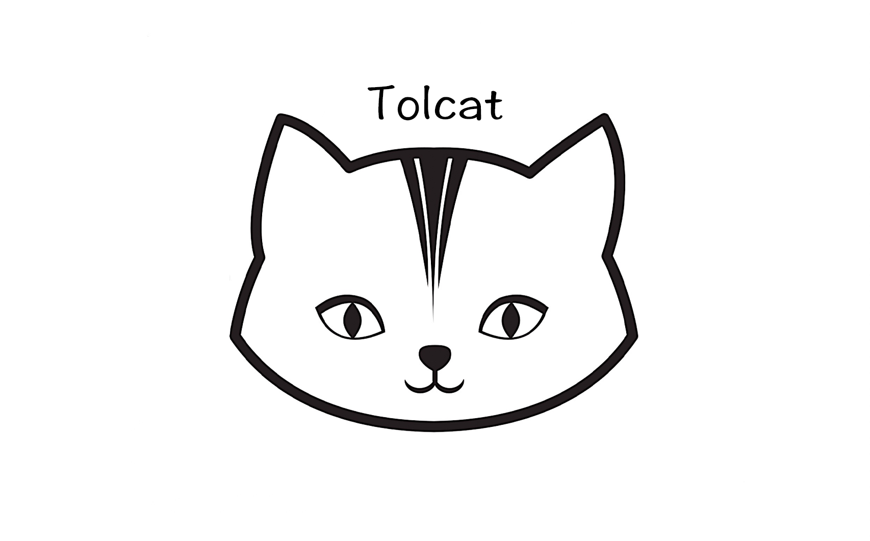 Shanghai Tolcat Industrial Co., Ltd. logo