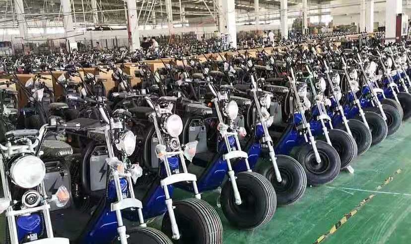 Yongkang Hongduo Industry & Trade Co., Ltd. Citycoco Scooters