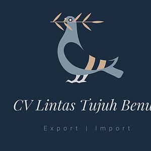 Company icon