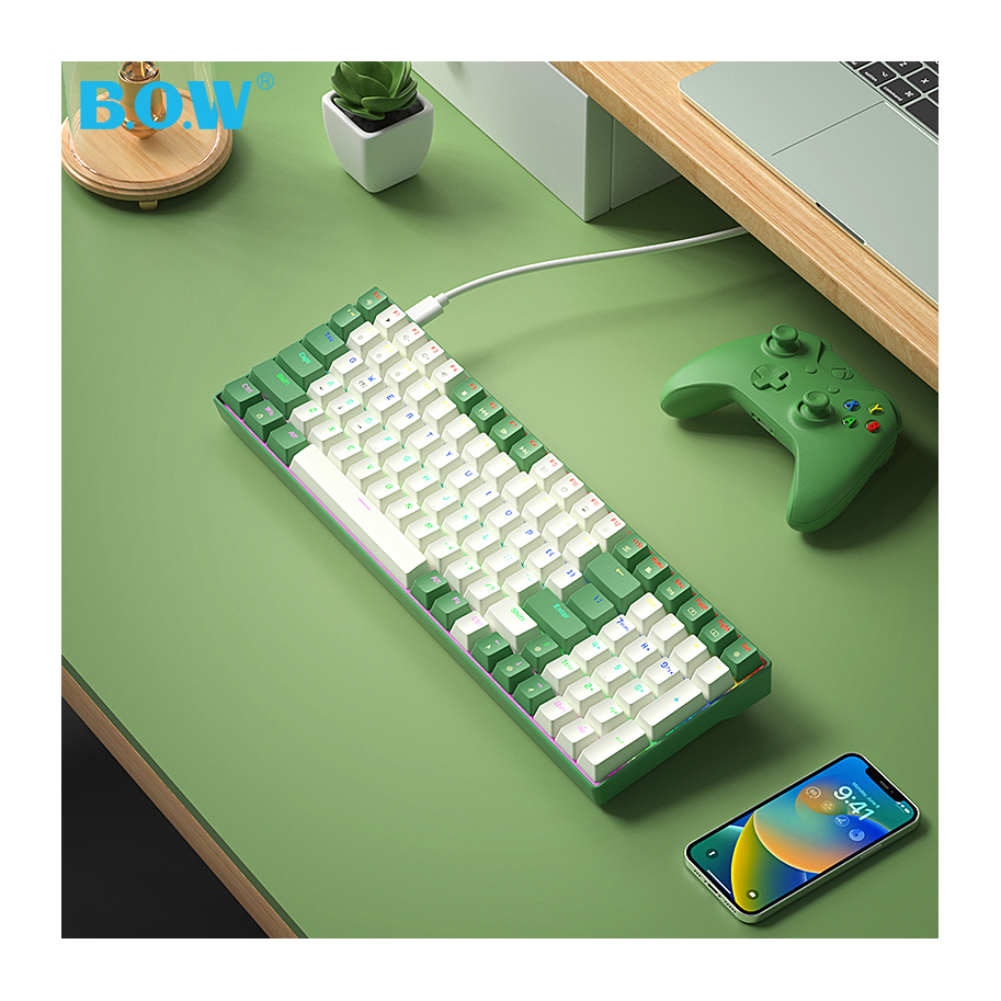 BOW New Arrival hot swap ergonomic ABS keycaps USB cable type c wired gaming mechanical keyboard for computer laptop