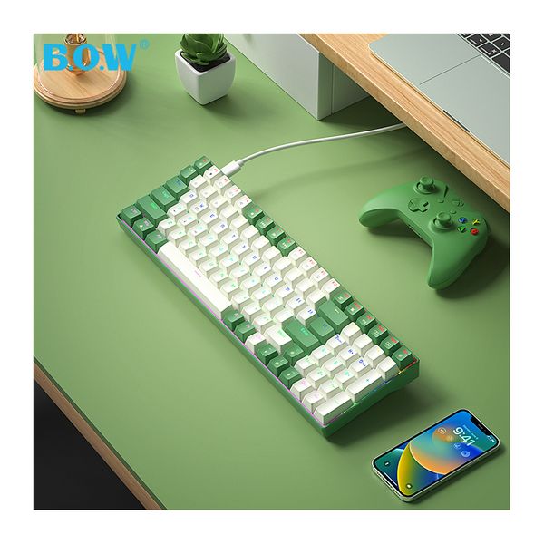 BOW New Arrival hot swap ergonomic ABS keycaps USB cable type c wired gaming mechanical keyboard for computer laptop
