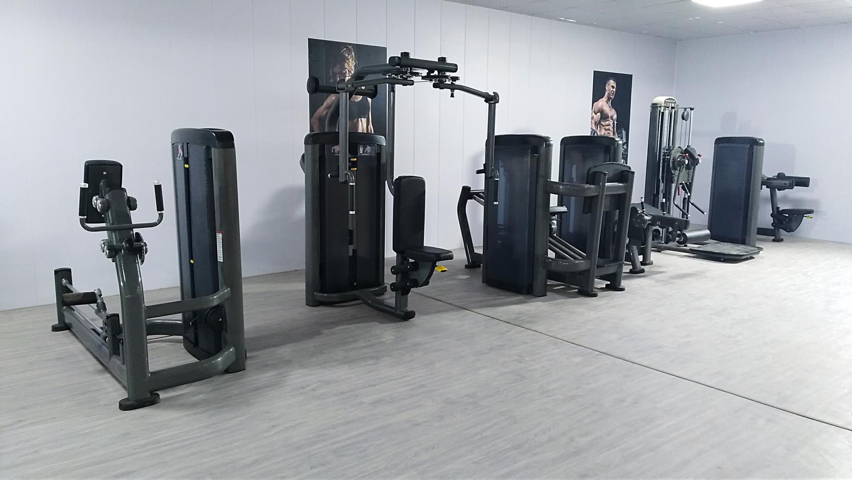 Dezhou Kingace Fitness Equipment Co., Ltd. Dumbbells