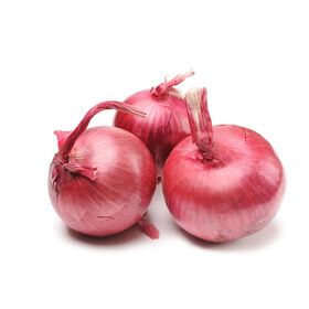 Vegetable red bulb onion seeds red importers for sale