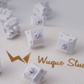 DIY Mechanical Keyboard Switches Linear POM Switch Factory lubed WS Morandi