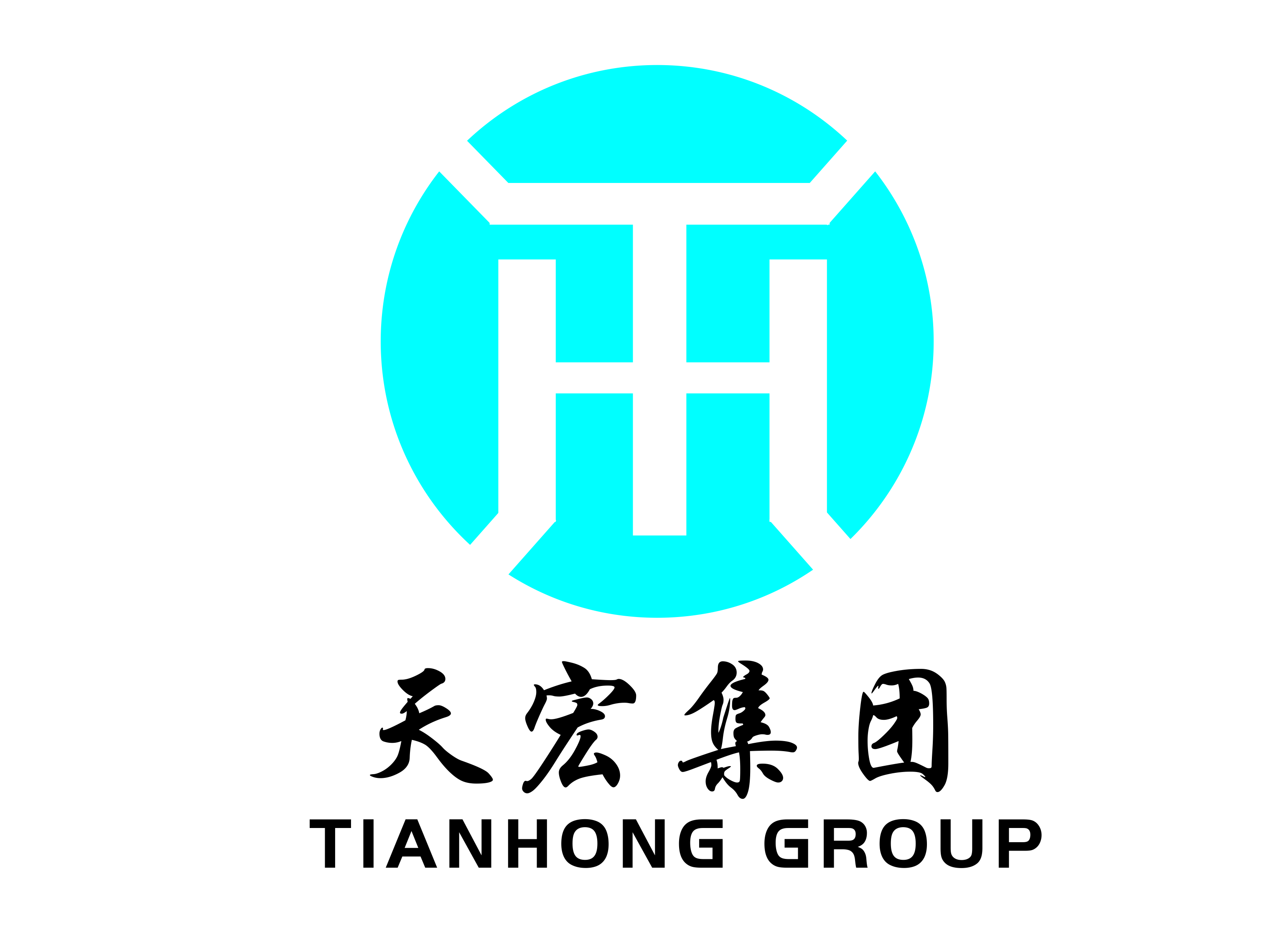 Dongguan Tianheng Hardware Products Co., Ltd. logo