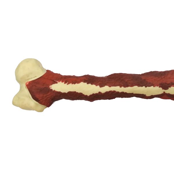 sustainable double color rubber hard bone for adult dog chew toy