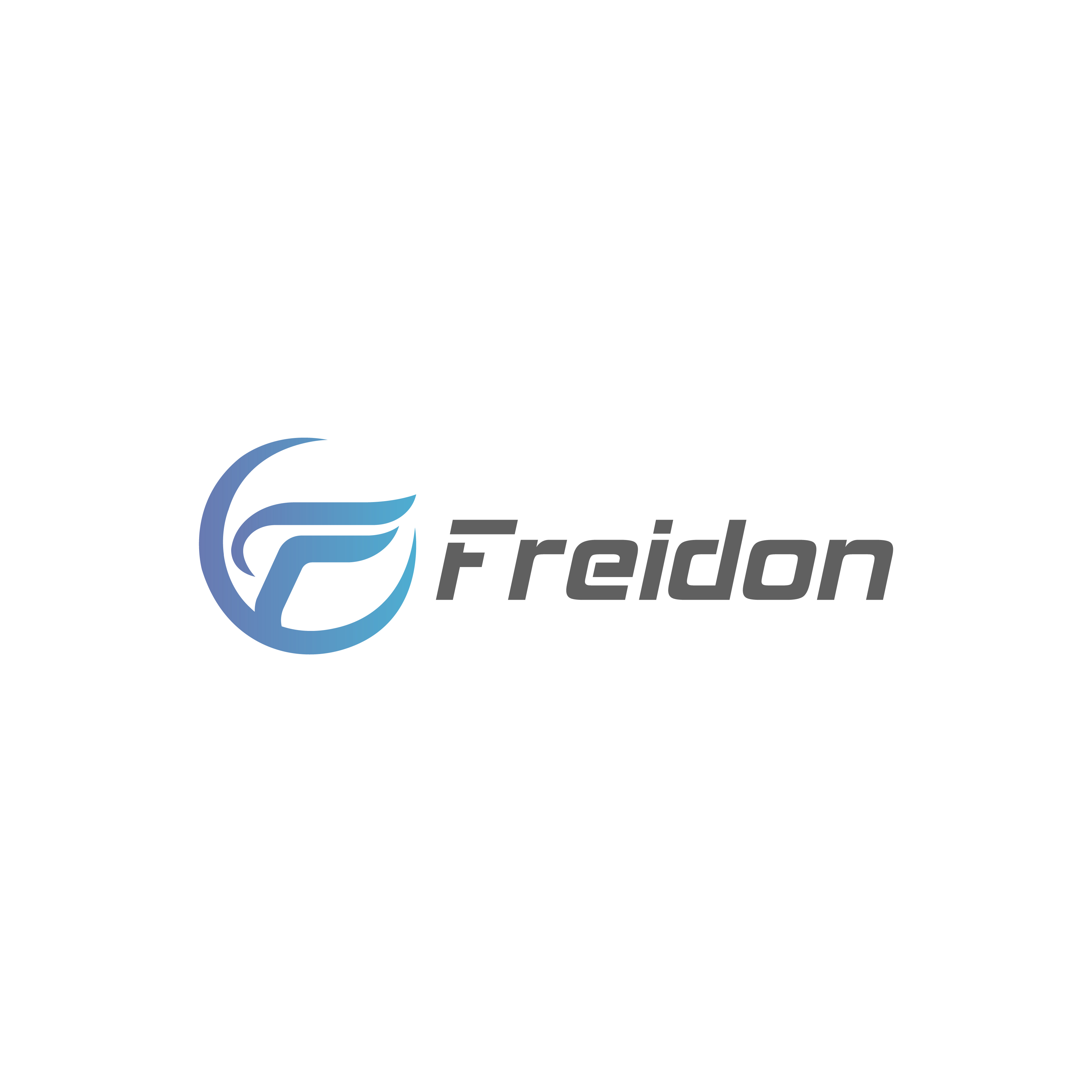 Chengdu Freidon Technology Co., Ltd. logo