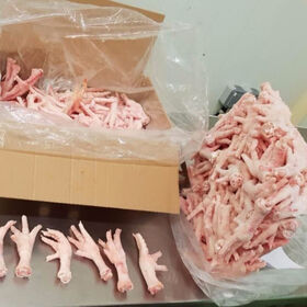 Brazilian frozen whole Chicken chicken legs